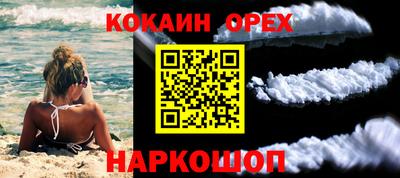 спиды Аргун