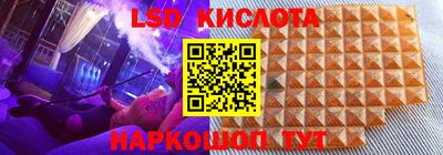 спиды Аргун