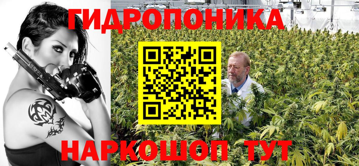 Бошки Шишки планчик Вичуга